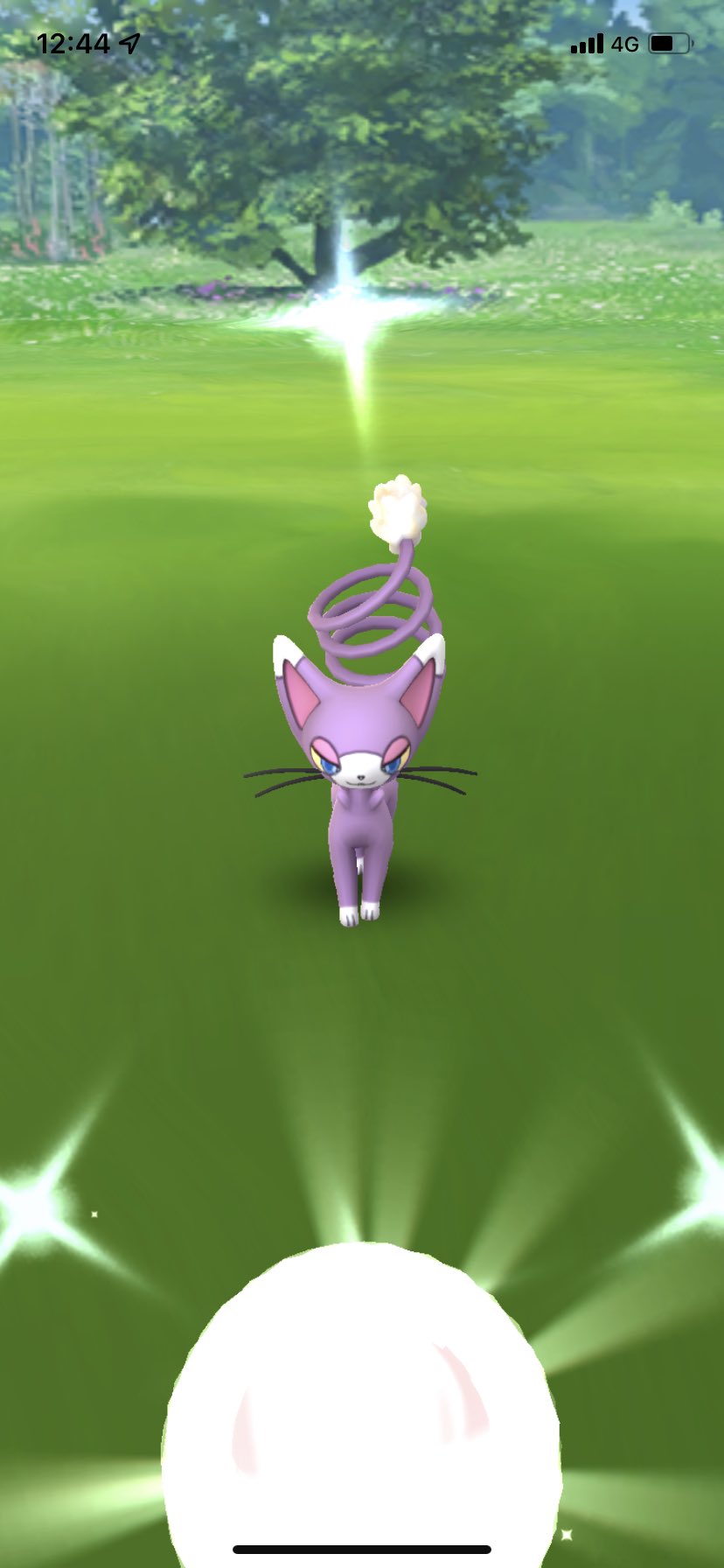 ポラリス Pa Twitter ポケモンgo 色違いニャルマー出ました 2匹目なので前にgetしたのをブニャットに進化させました ポケモンgo 色違い ニャルマー ブニャット T Co Nooyqswhmt Twitter