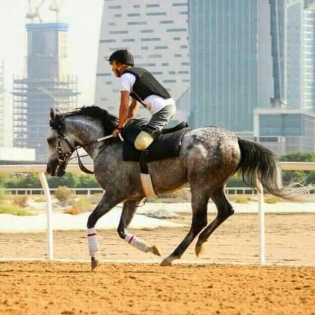 لا تستسلم بسهولة فقد تكون قدوة لكثيرين رأوا فيك اصرارًا للتغلّب على مشاكل الحياة، فكن جديرًا بهذه الثقة .
#صباح_الاصرار_والعزيمة 
#صباح_Iلخير