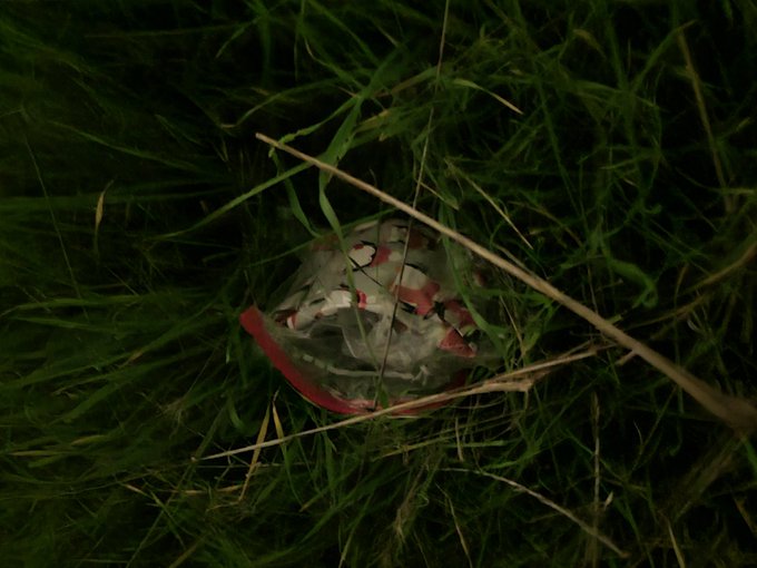 A fan left me a gift to find 🥰💜 thank you so much 😘 https://t.co/vTeZuQSTmC<a href="/tag/lib"class="tags"><span>#lib</span></a>