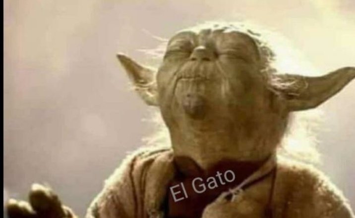 ellmichi's tweet image. Ya huele a q nos van a volver a encerrar