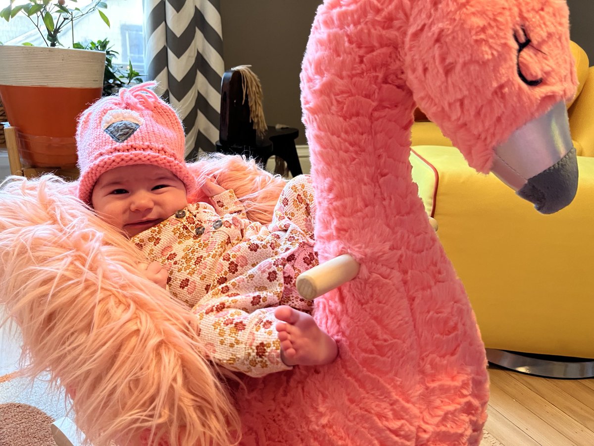 Flora Gardenia is already two months old, making this the second installment of Flamingo Fifth. What an absolute doll she is!