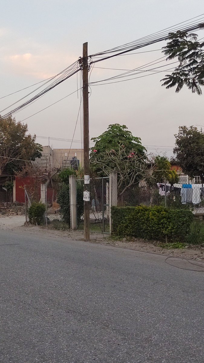 stefanycuevas's tweet photo. @TELMEXSoluciona  les dejo las fotografías de ambos postes de teléfono, de la ave De Las Avionetas 
https://t.co/bFeM0fGcP1 https://t.co/FN9alNeYlP