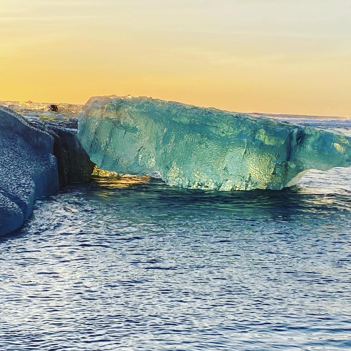 e_serraiotto's tweet photo. Icebergs of #diamondbeach #iceland have incredibly electric blue and green colors. #naturalmiracle✨ #mathernaturesbeauty #colorsofnature https://t.co/DFIPKb2K5F