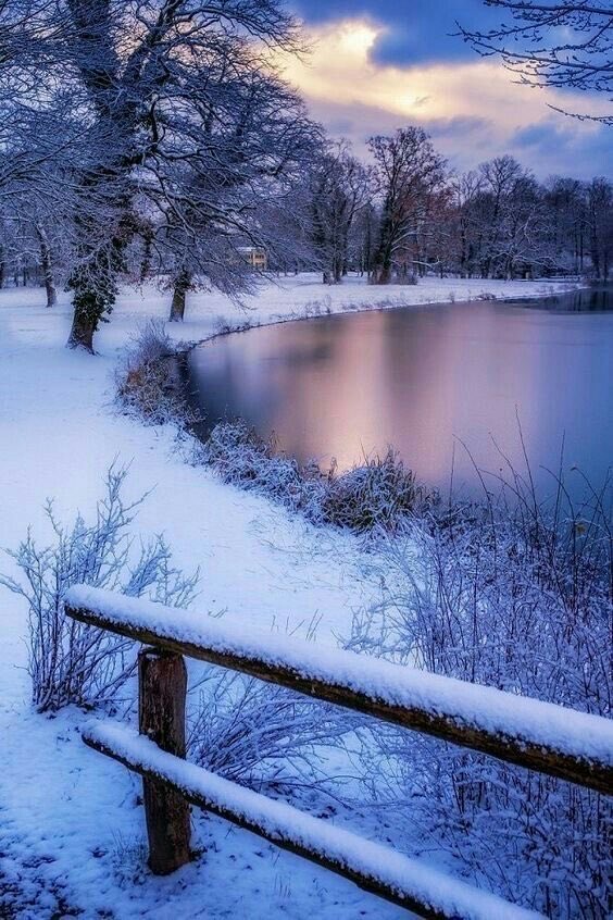 JustCur47869529's tweet photo. Good night Twitter friends….
I hope everyone is safe on this cold night…💫🤍🙏
#credits 📸💯 #SnowWinter
#NaturePhotography #Beautiful 🥶❄️
#Homeless💔🥲 https://t.co/9vovTUJytD