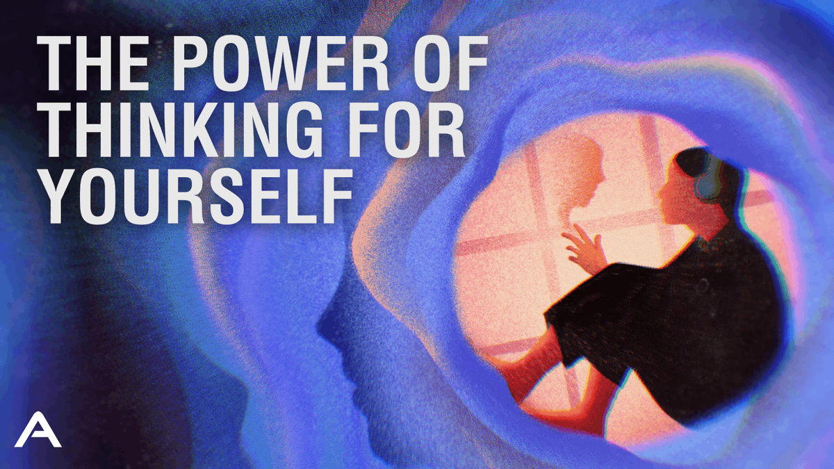 TheApertureYT's tweet photo. The Power of Thinking For Yourself

📺: https://t.co/j0TZ8MUq3b https://t.co/TerxbeuoYB