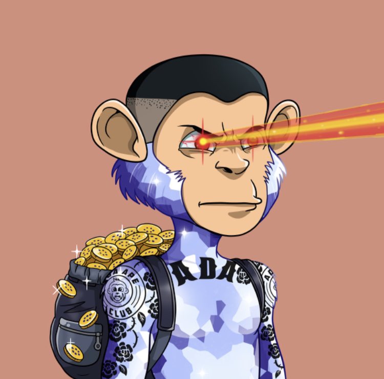 KingGoldPeter's tweet image. I’m on the @AdaApeClub group with vr pink slip ape fighting on the horizon hahaha