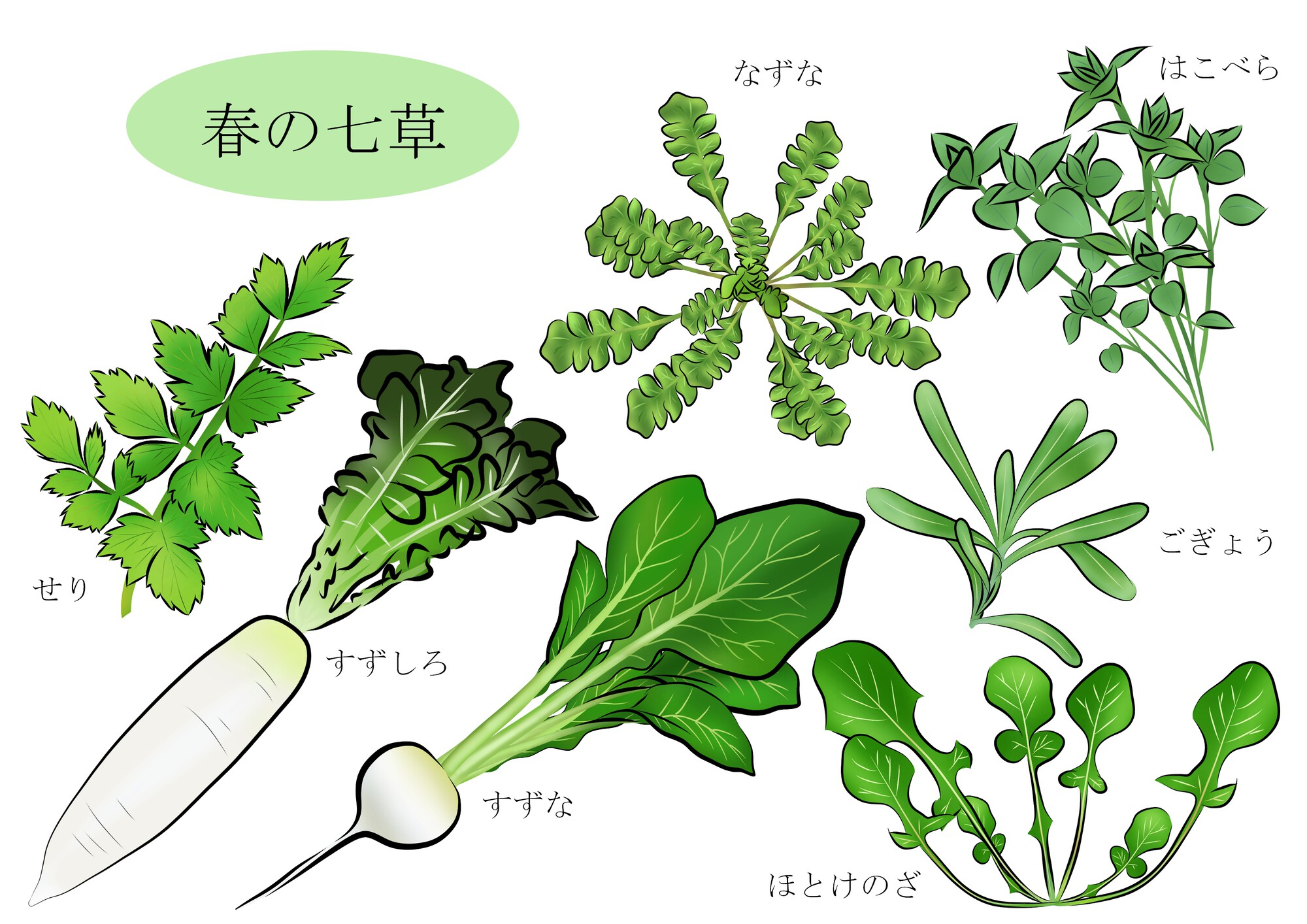 Twitter 上的 小田急百貨店 新宿店 公式 春の七草 パッと出てきますか 公式担は 九州屋 で確認 セリ ナズナ ゴギョウ ハコベラ ホトケノザ スズナ スズシロの 春の七草 セット 1セット 599円 と フリーズドライ七草 1袋 399円 まで販売してい