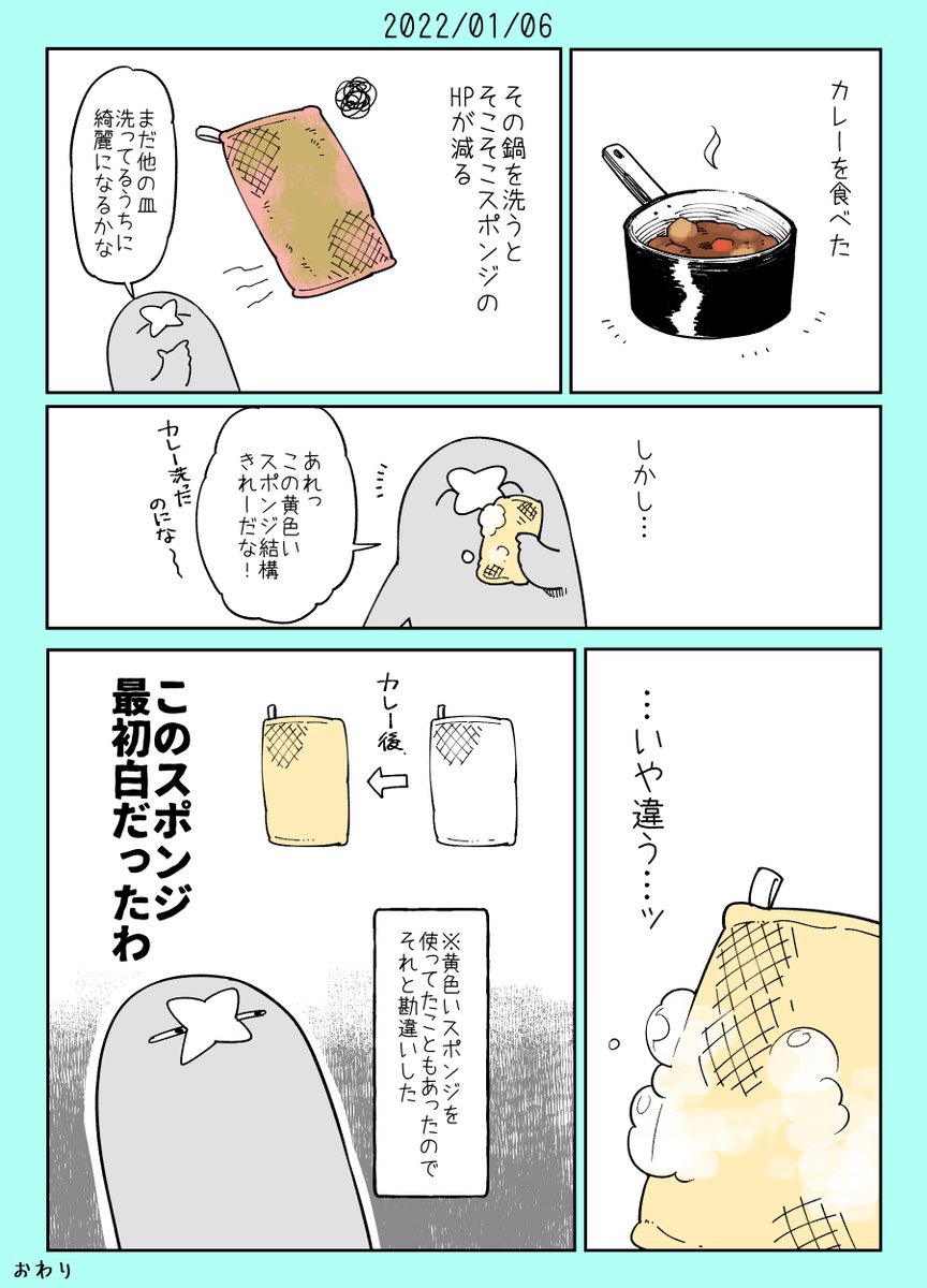 カレー後のスポンジ日記 