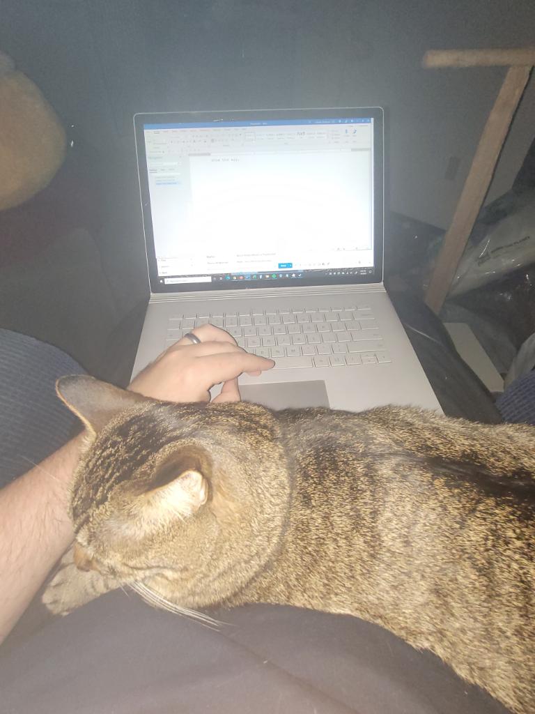 BrandSanderson's tweet photo. Okay! Scene Three done. 2673 words total done so far. And you can see that Freya the closet cat (our feral rescue who has, over the years, decided that I'm okay) has decided to "help." I'm honored, I guess? It's appropriate since she's named for FM in the Skyward series. 13 left https://t.co/BSUJXc0aI4
