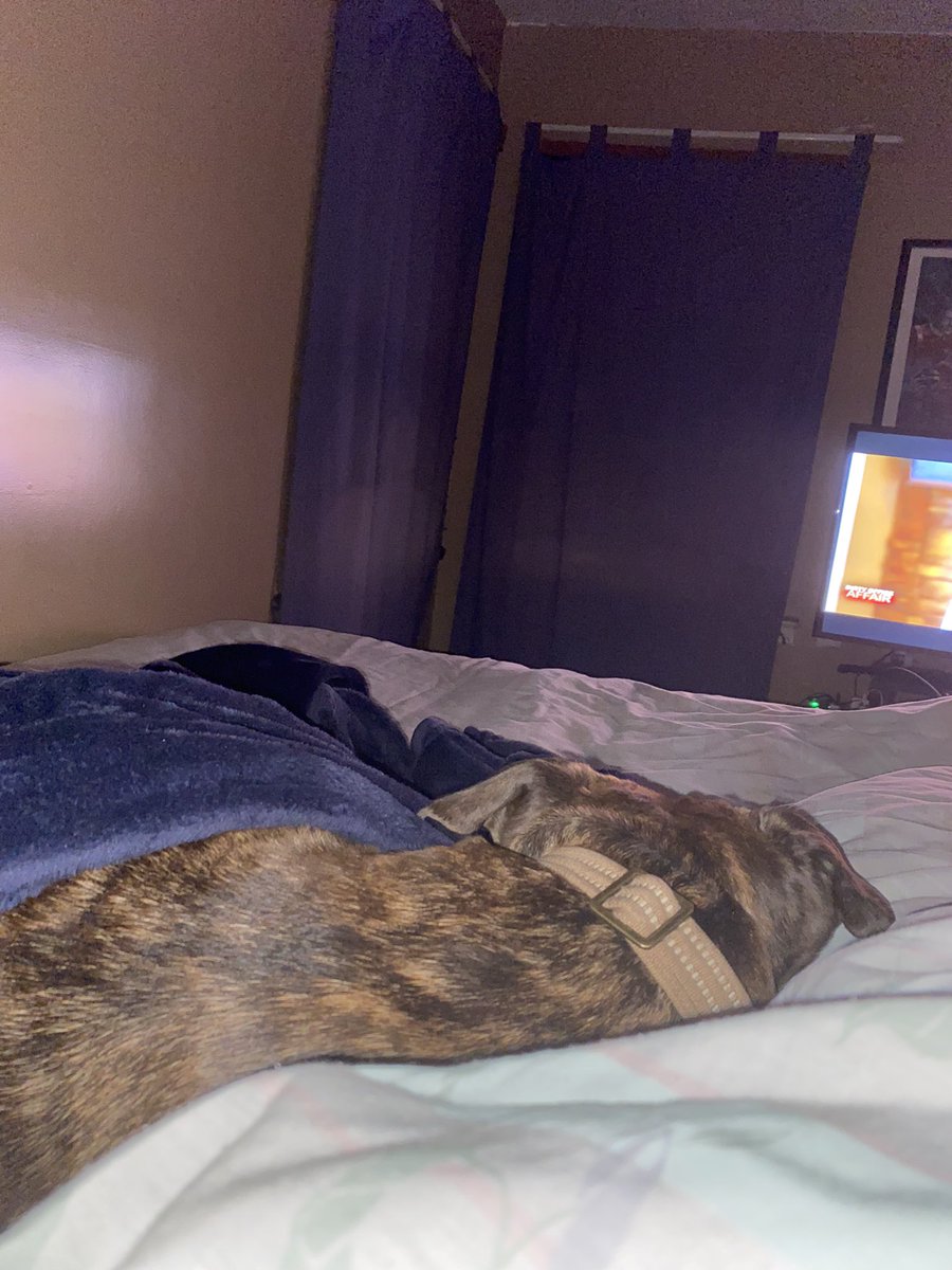theVoice123's tweet photo. Yes we both go to bed early watching #murdershows like senior citizens. https://t.co/GPwPdhQwVt