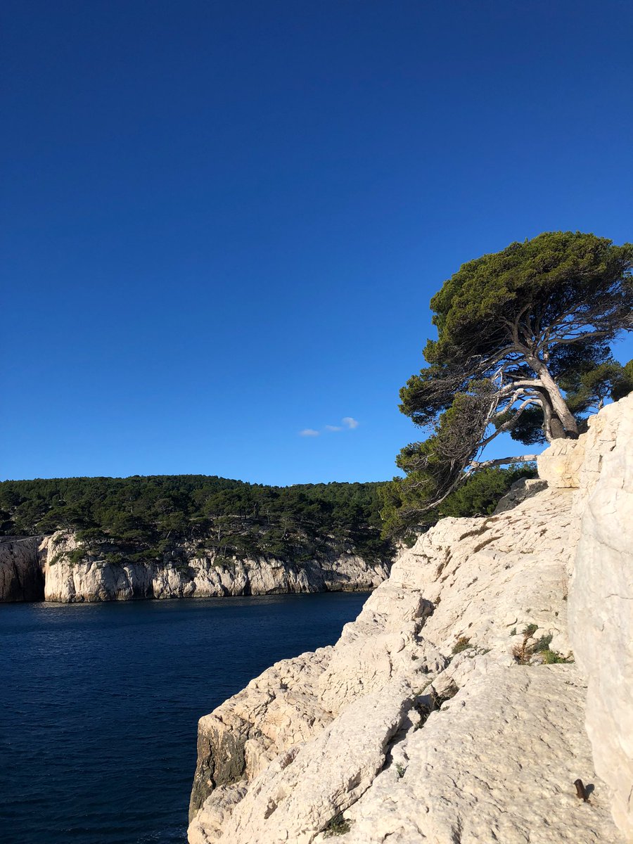 adelepkrs's tweet photo. ☀️ https://t.co/x0mp7IckXi