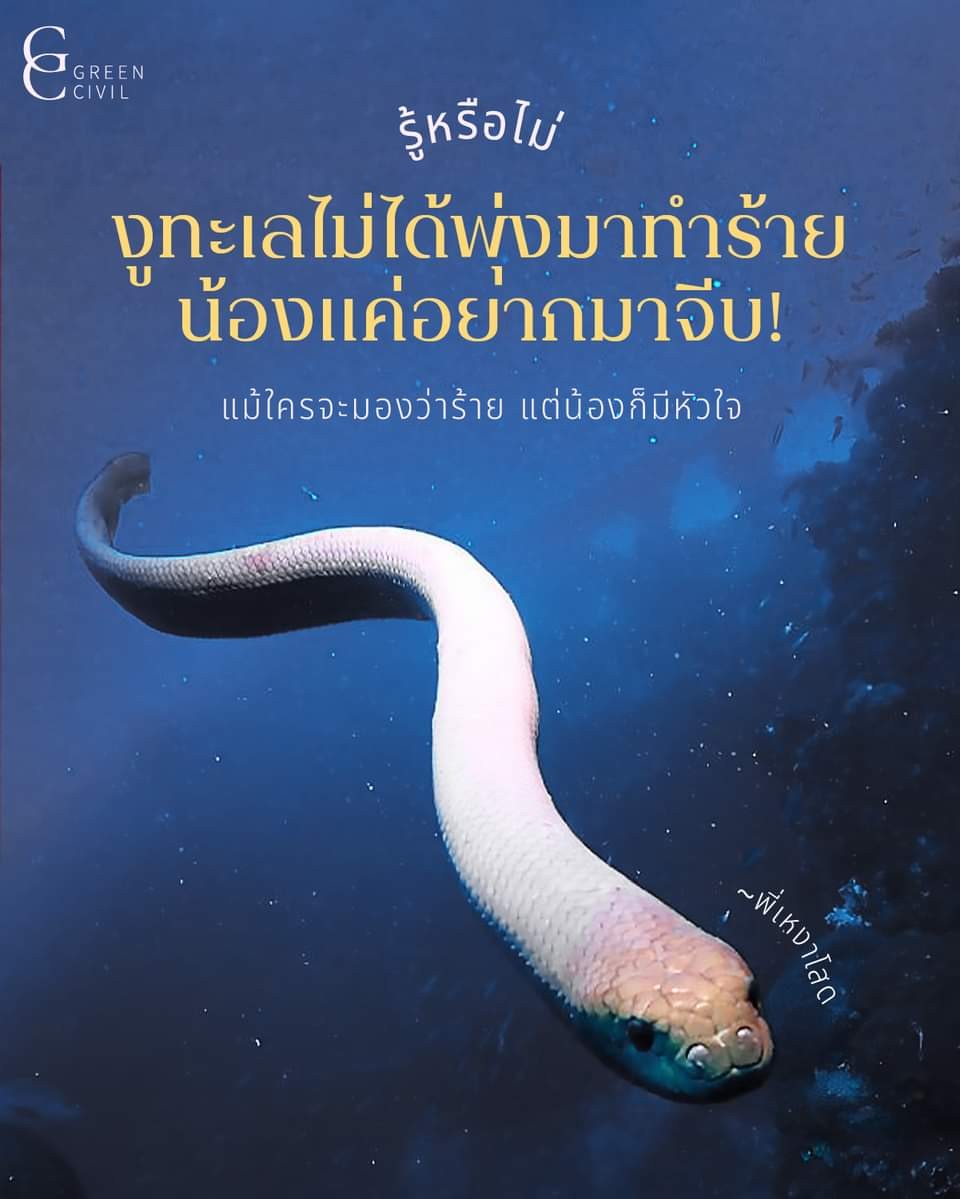 อ้าวหรอ 5555555555