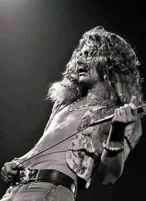 Robert Plant