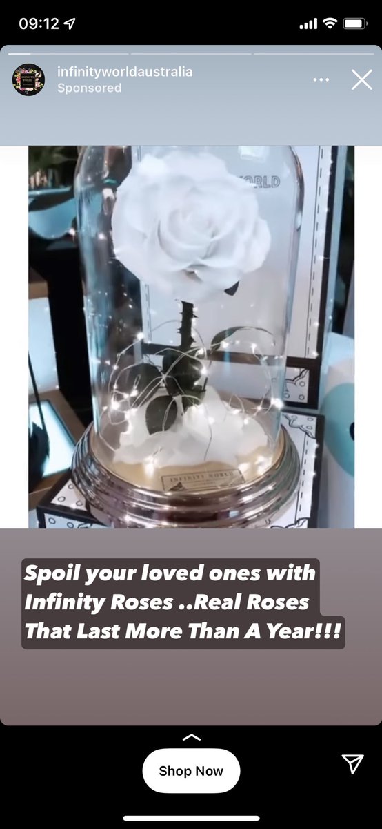This is the thing that housed the curse in Beauty and the Beast, right?