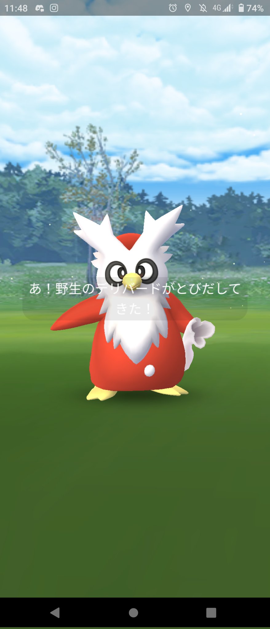 تويتر 高宮 毅彦 على تويتر これはイベント外なのでポケモンホームに送れる珍しいデリバードです ポケモンgo デリバード T Co Czqapl96hv