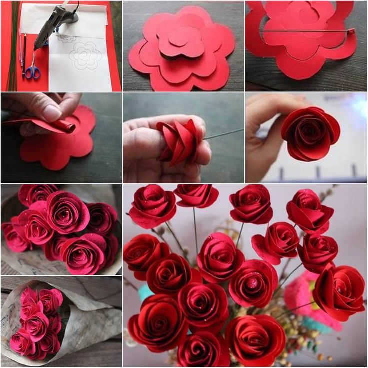 Beautiful DIY Roses.