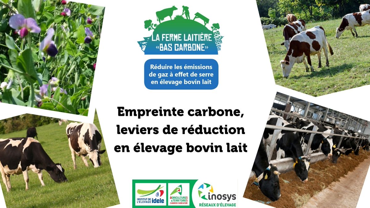 Empreinte carbone 🌍| Leviers de réduction en #élevage bovin lait🐄
✅ Un dossier pour vous donner des repères
↪ Issu des travaux des équipes régionales &amp; nationales d’#INOSYS Réseaux d’élevage #Bovin lait &amp; notre service #environnement
C'est par ici 👉 cutt.ly/XUXYfcx