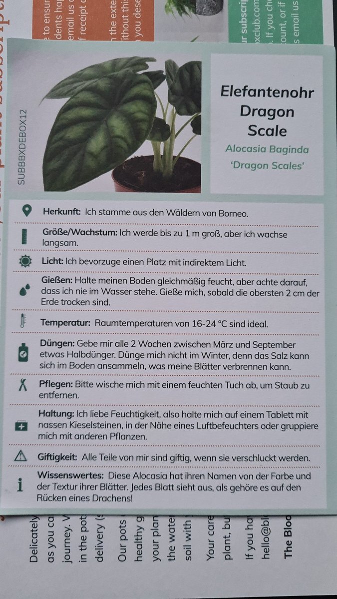 AlbaMvV's tweet photo. Loving my plant subscription however this time the info came in German? #confused #bloomboxclub https://t.co/diFwFbmp48