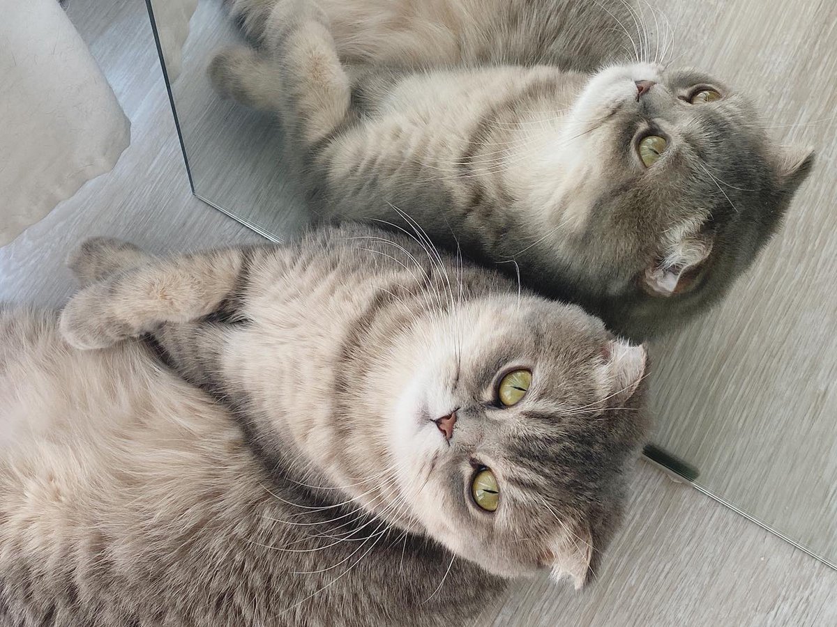 jiewliewnjiggo's tweet image. มานั่งจุ้มปุ๊กอะไรตรงนี้