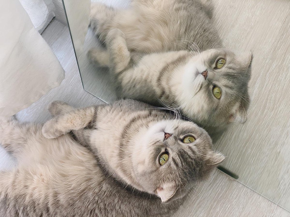 jiewliewnjiggo's tweet image. มานั่งจุ้มปุ๊กอะไรตรงนี้