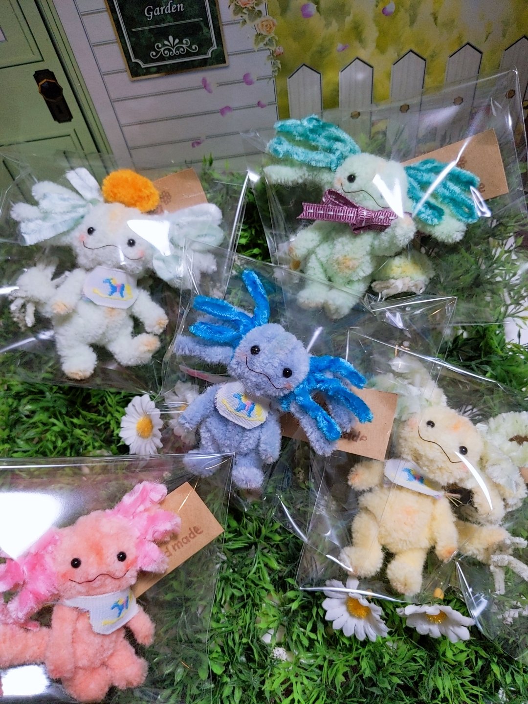 特別訳あり特価 お迎え決まりました モールで出来たウーパールーパーちゃん Hana おもちゃ Www Joi Salon Com