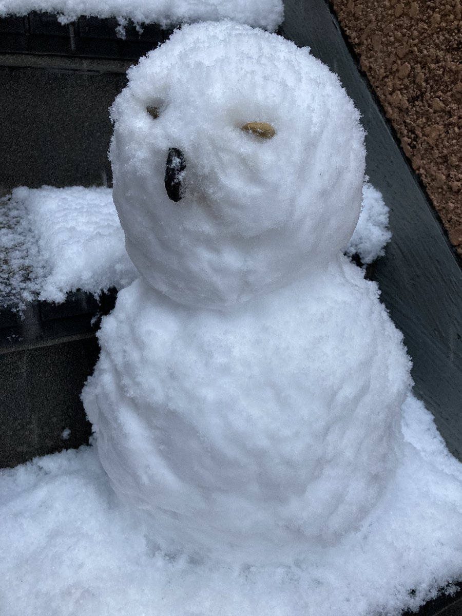 DoShow_RGO's tweet photo. 東京、結構雪が積もってきたので、
テンション上がって「雪だるま」作ってみたけど…
どう見ても「ハリーポッターのフクロウ」やんwww
#DoでShow
#RGORadio
#ハリーポッター
#フクロウ https://t.co/HsoeNU9HDg
