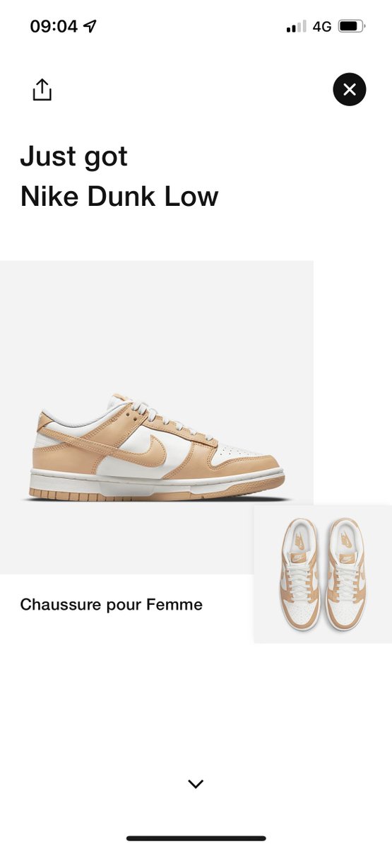 The Kitchen tweet media