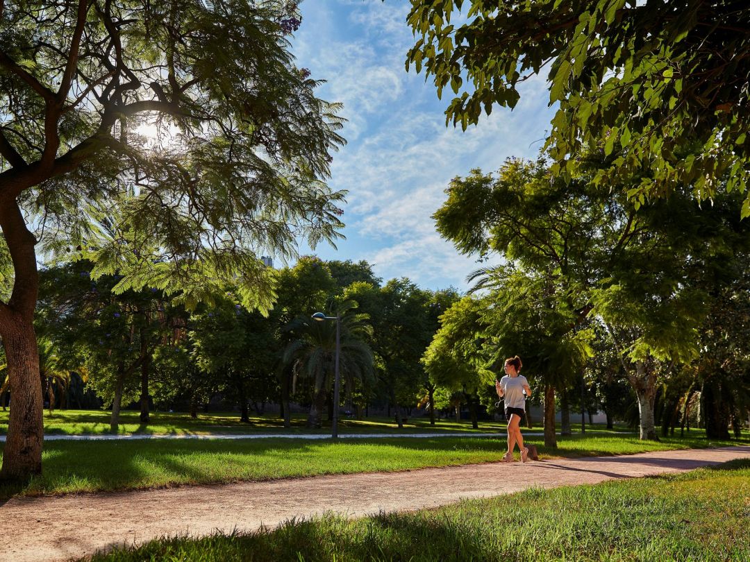 🆕 PODCAST
1⃣ Skyrunning Ecuador
2⃣ Euskal Selekzioa 2022 con Oier Ariznabarreta
3⃣ Análisis sentencia FEDME-RFEA 
4⃣ Citas imperdibles del 2022
5⃣ Ecotrail Valencia
6⃣ Trail La Cebrera
7⃣ Nutrición con <a href="/evarguedas/">Eva Arguedas</a> 
🎒 Sorteo Camelbak Nano
▶️ territoriotrail.es/territorio-tra…