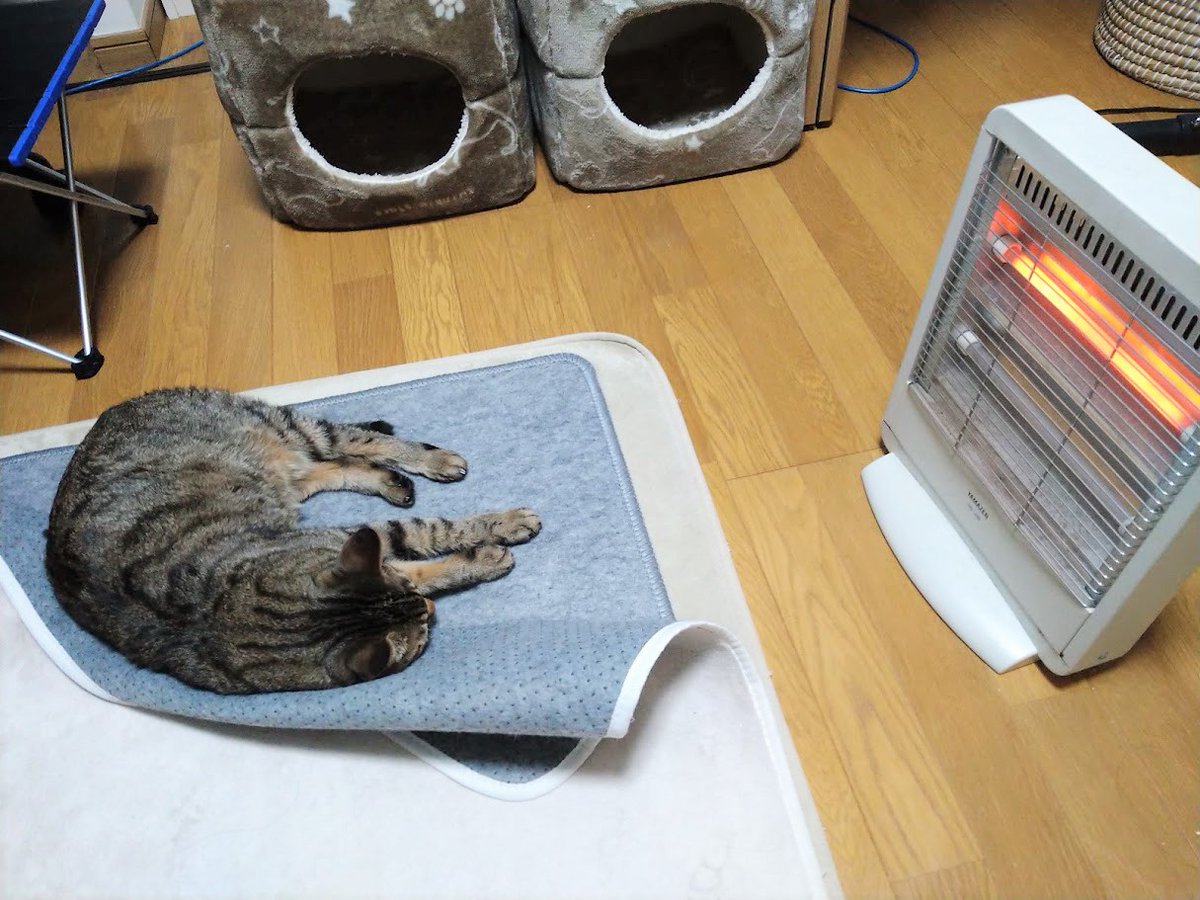 七星紗英 Nana Hoshi Twitter 七星紗英 Nana Hoshi Twitter