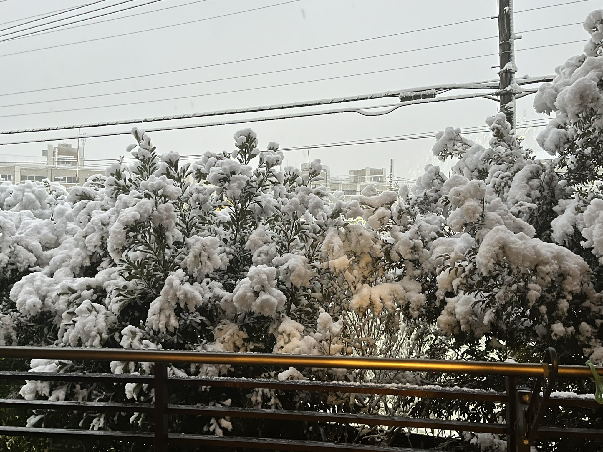 ゆめ ポケモンgoやってる人なら共感してくれるハズ 都内でここまで雪降る事が無いのにさ しかも今 大雪警報出てるよ やねんけどさ 何でお天気 曇り なの ゚ ゚ W ゚ ゚ 雪のポワルン欲しい ポケモン ポケモンgo T Co ゆめ ポケモンgoやってる人なら共感してくれるハズ 都内でここまで雪降る事が無いのにさ しかも今 大雪警報出てるよ やねんけどさ 何でお天気 曇り なの ゚ ゚ W ゚ ゚ 雪のポワルン欲しい ポケモン ポケモンgo T Co