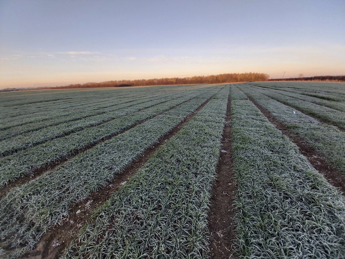 Frosty start to the day here @LSPBLtd