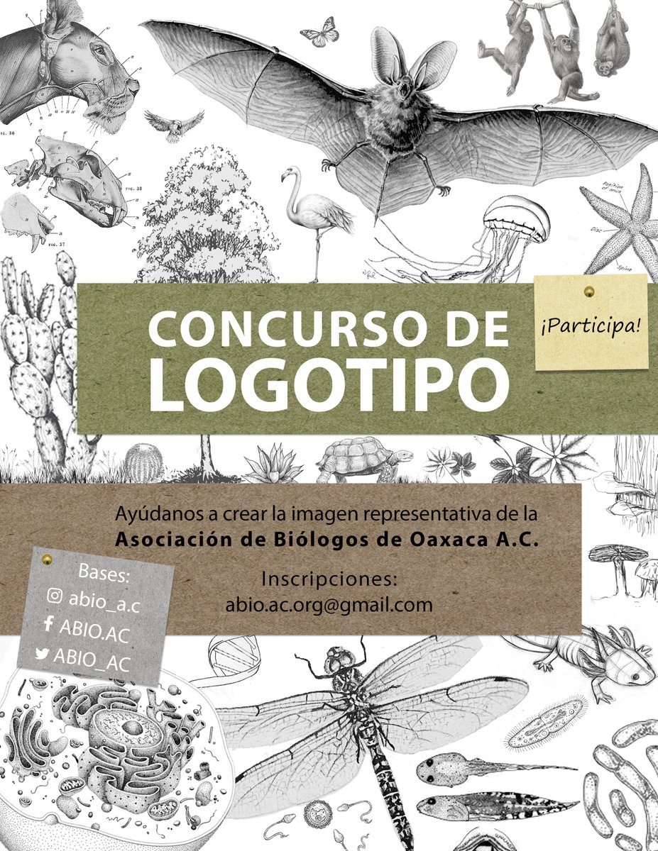 ¡¡PARTICIPAR EN EL CONCURSO DE LOGOTIPO!!

Consulte la bases en el siguiente link:
drive.google.com/.../1kCdG5scZq…...

Anímate a participar!
Apóyanos compartiendo 🌱🌿🍄🍁