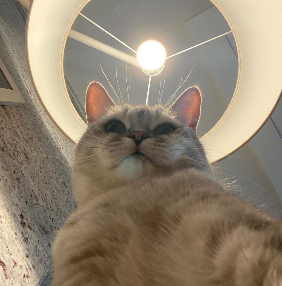 💭 (@0127thinker) on Twitter photo 