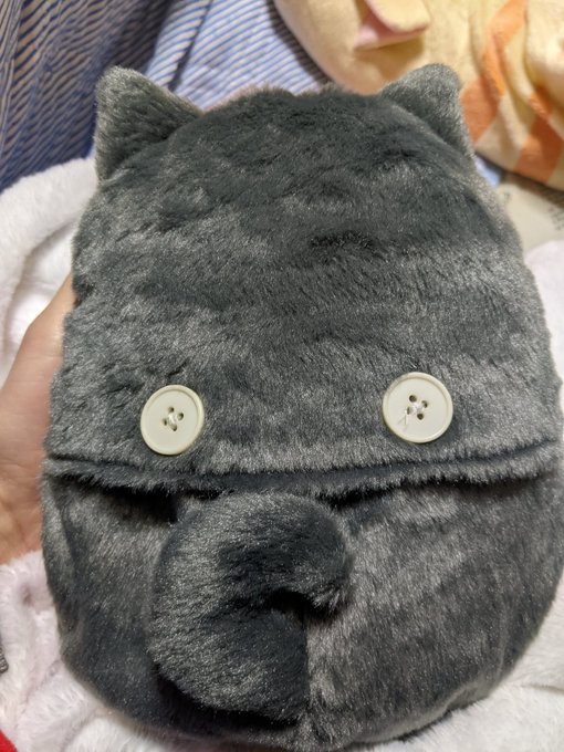 松犬湯たんぽのtwitterイラスト検索結果 松犬湯たんぽのtwitterイラスト検索結果