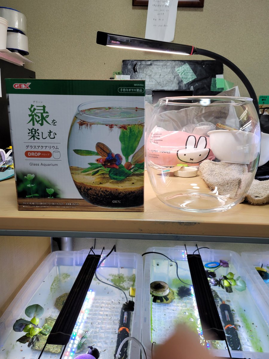 I9nLSGkm8Z42k5x's tweet photo. ありがとうございます。
景品届きました。
大事に使いますね。

https://t.co/6v8zxL3fYr https://t.co/9gmWVC6dnp