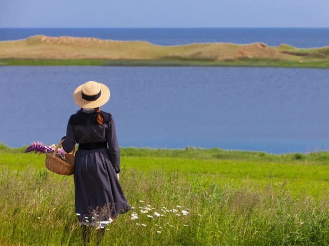 sarikarina's tweet photo. The latest edition of Cool It is out. In it, I write about Anne of Green Gables, Environmentalism, and @adsnotfit2print.

Here's to a new year, with no mistakes in it yet. 

https://t.co/Xzkuj05lMJ https://t.co/CCU2yxIDxb