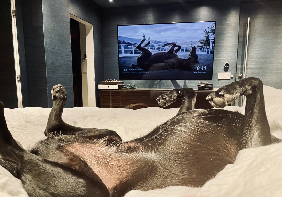 Paul Wernick (@paulwernick) on Twitter photo 