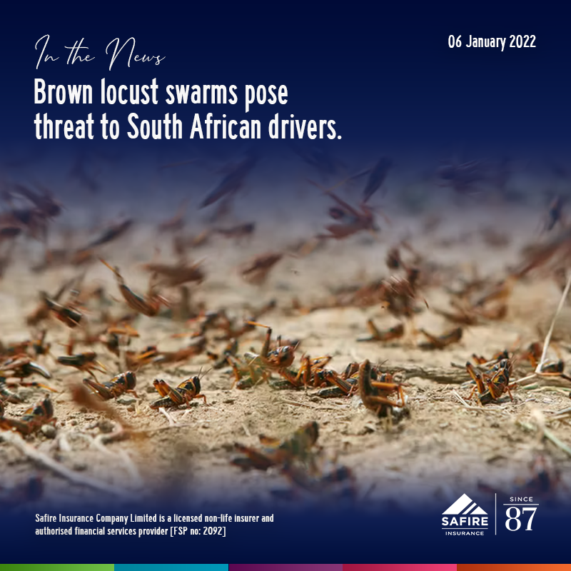 Safire Insurance Company Limited tweet media