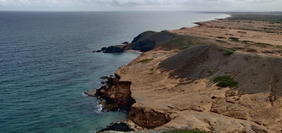 Viajando Waldo tweet media