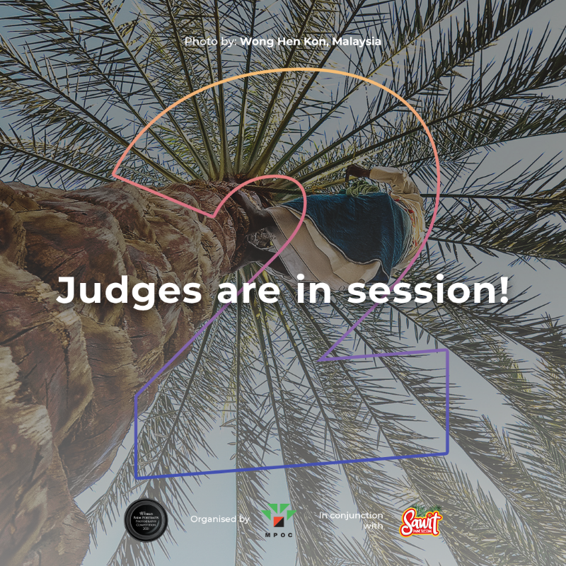 Our judging panel consists of varied experts and award-winning photographers with individual style and taste. Thus, they examine every photo with great care and utmost professionalism.