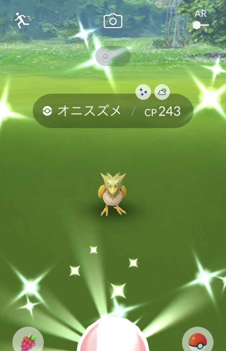 ポケgo図鑑オスメス埋めたい派 Pgo Hassam Twitter