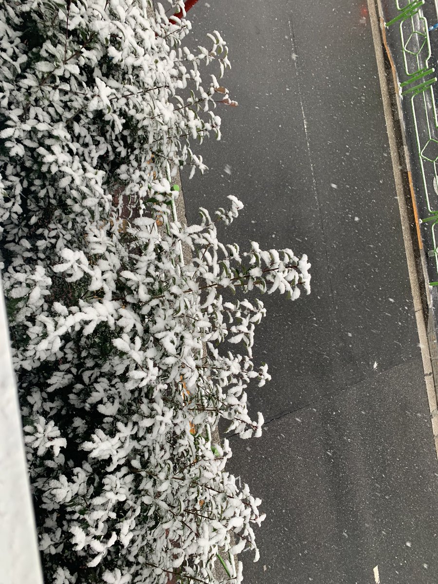 2dpay3's tweet photo. ここ東京だよね？ってくらい雪。
数年前銀座で雪だるま作ったの懐かしい。 https://t.co/jL4lfJqKzj