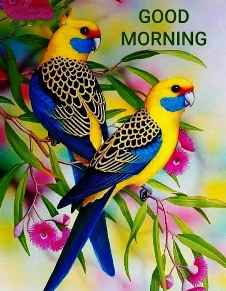 Good morning all friends
