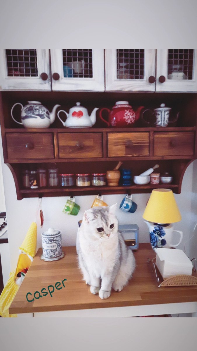 _ceydaca_'s tweet image. #canimoglum♥️