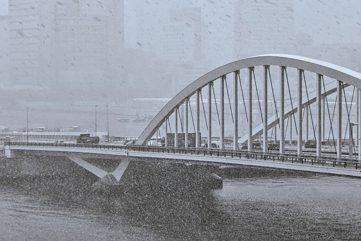 QuietInsight's tweet photo. 都内は吹雪状態で・・・銀座のビル街もほとんど観えない・・・
There is a snowstorm in Tokyo, and you can hardly see the building streets of Ginza.
#Tokyo #Kachidoki #photo #photography #streetphotography  #blackandwhite #monochrome #DMCTX1 https://t.co/6dShLtjBeT