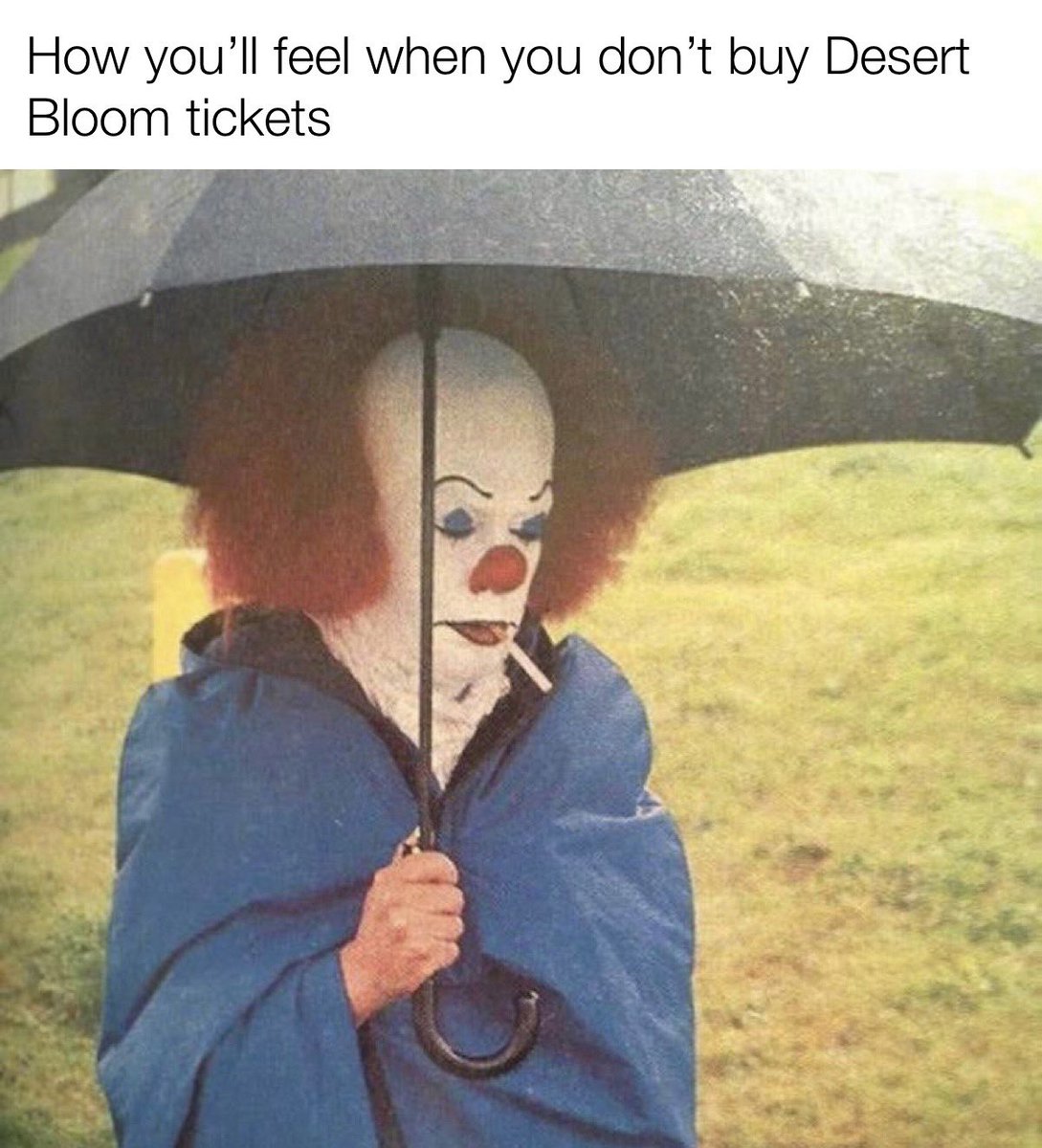 MintyMoogic's tweet photo. @DesertBloomBand This is my official application to be the desert bloom meme supplier https://t.co/OTbVyl3kO2