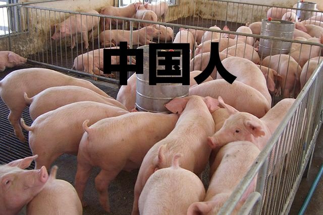 半条命 tweet media