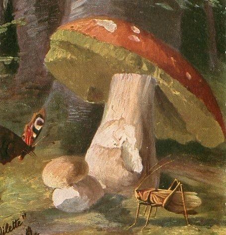 random6979's tweet image. 