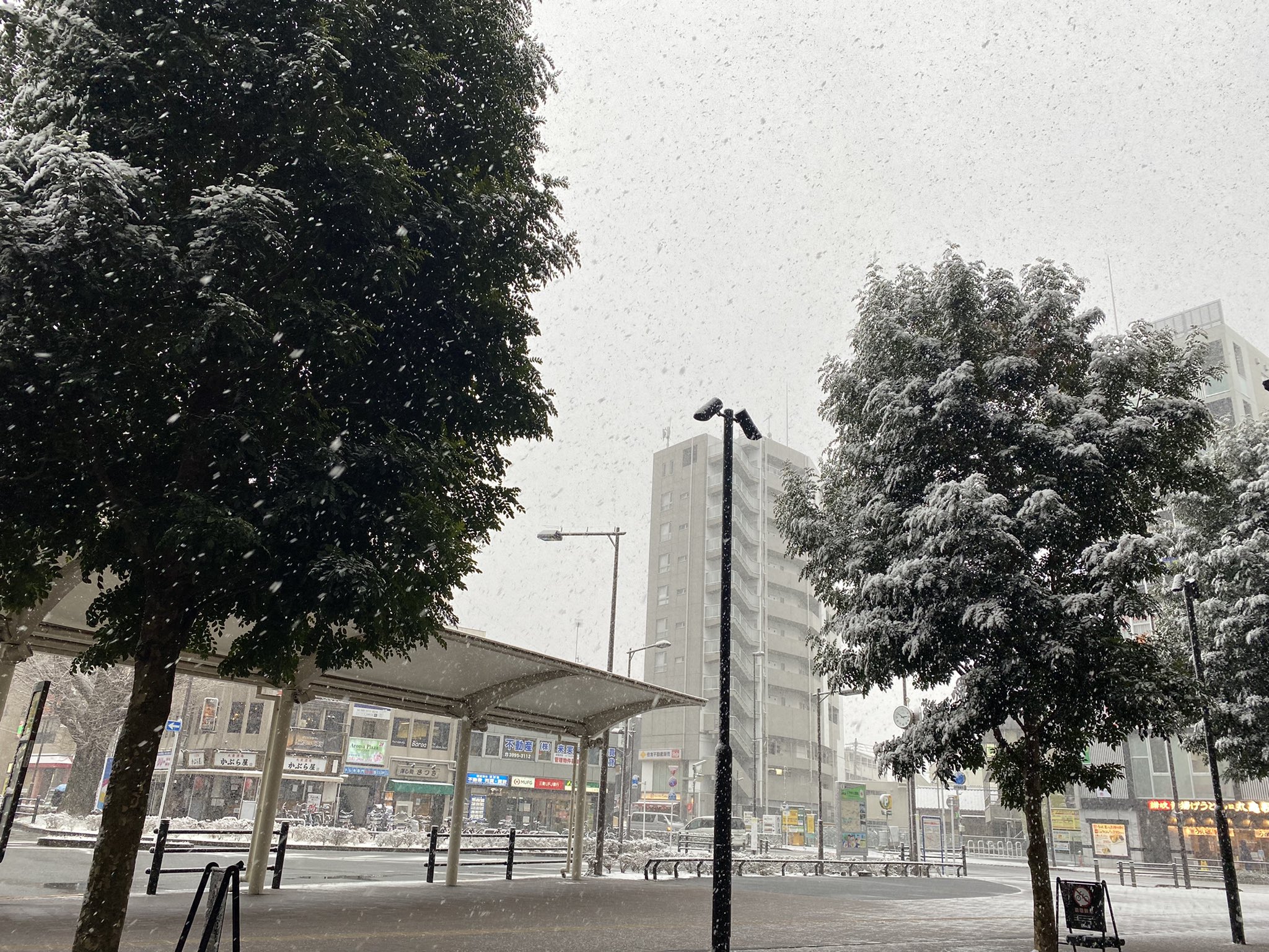 ねりま観光センター 雪の日 その2 16時の石神井公園駅前です かなり積もってきました 練馬区 石神井公園 積雪 T Co Eyindrtbzl Twitter