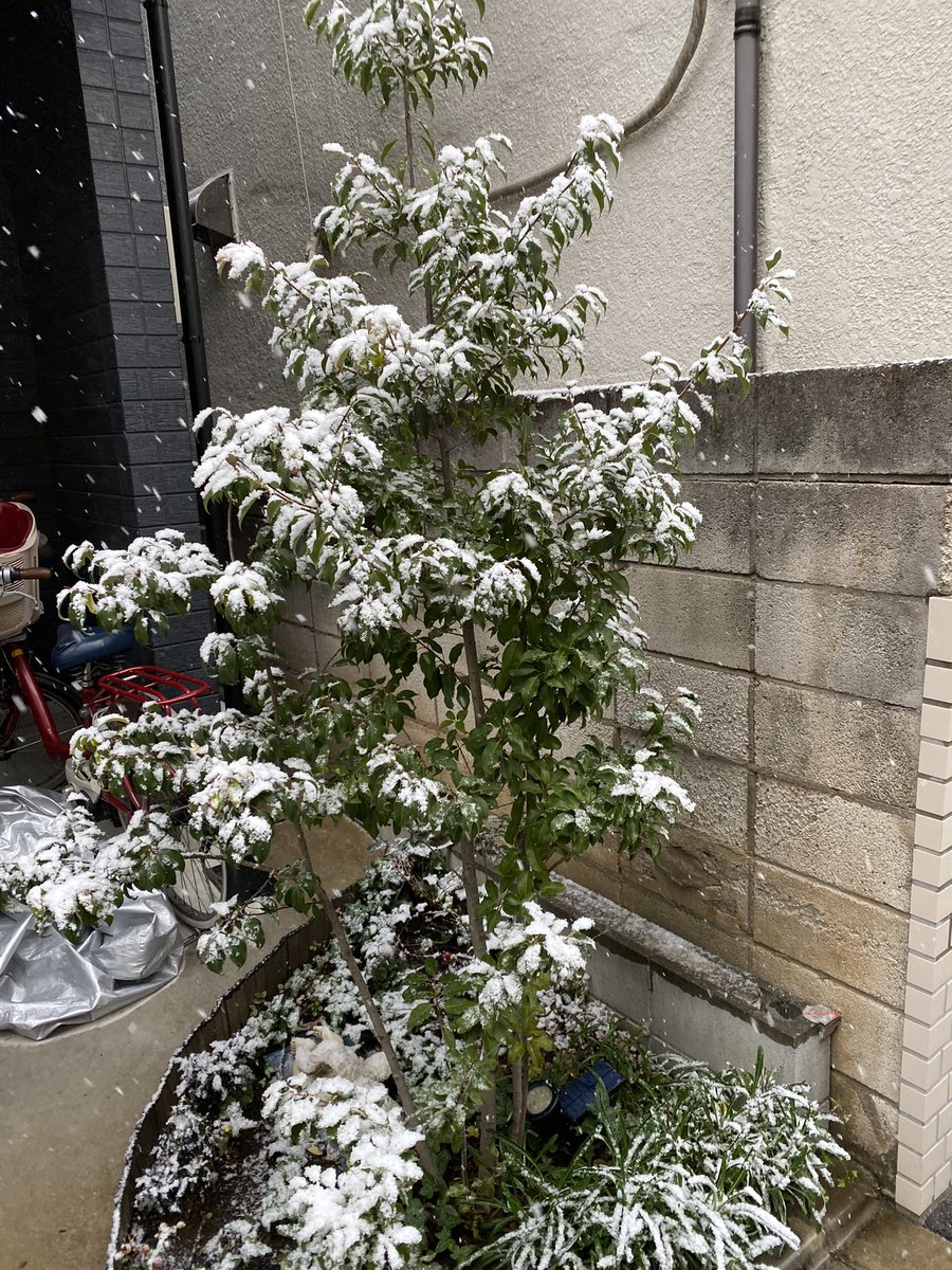 Везде где могу